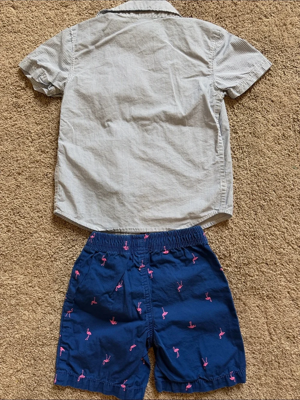 Carter's Blue Pinstripe Button-Down Shirt with Flamingo Shorts